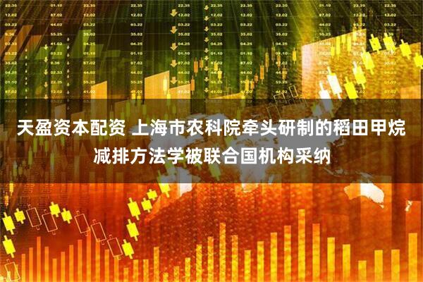 天盈资本配资 上海市农科院牵头研制的稻田甲烷减排方法学被联合国机构采纳