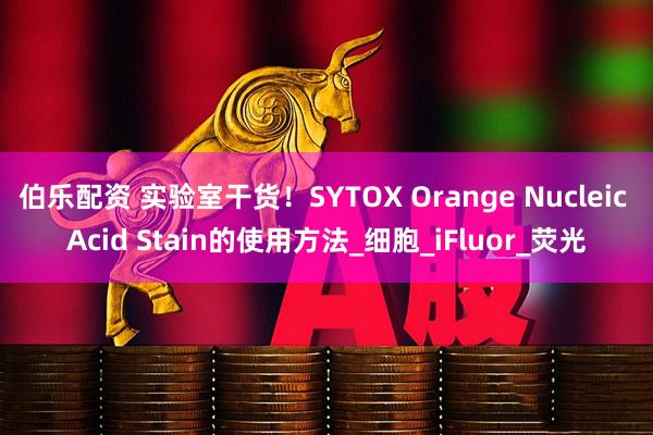 伯乐配资 实验室干货！SYTOX Orange Nucleic Acid Stain的使用方法_细胞_iFluor_荧光