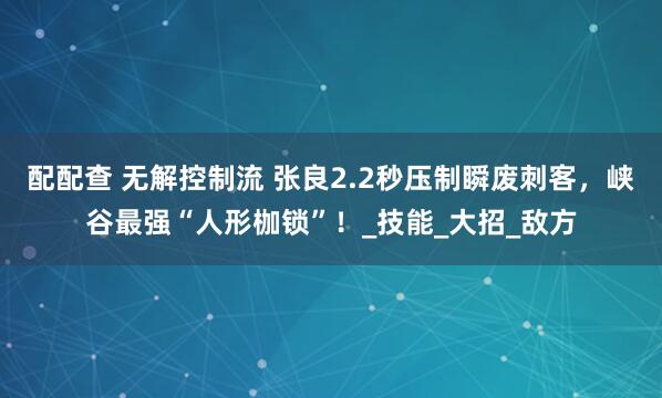 配配查 无解控制流 张良2.2秒压制瞬废刺客，峡谷最强“人形枷锁”！_技能_大招_敌方